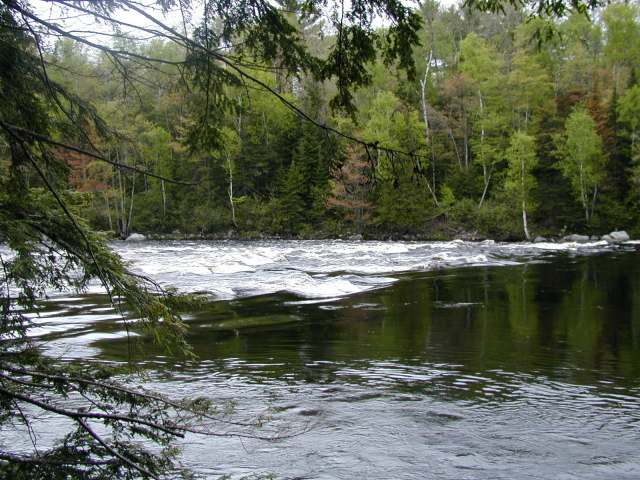 Images/keag river from river trail 3.jpg